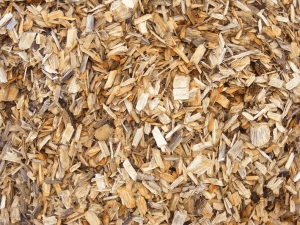 Wood Recycling in High Point, North Carolina