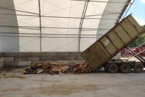 Yard Waste Recycling: What to Include and What Not to Include